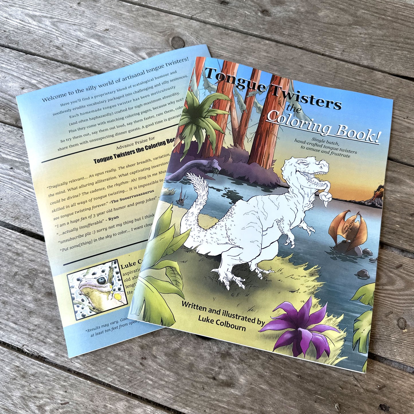 Example of a custom printed coloring book